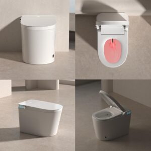 AOZITA Modern Smart Toilet with Bidet Built In, Auto Flush, Heated Seat, Warm Air Drying, Intelligent Tankless Toilet with Remote Control