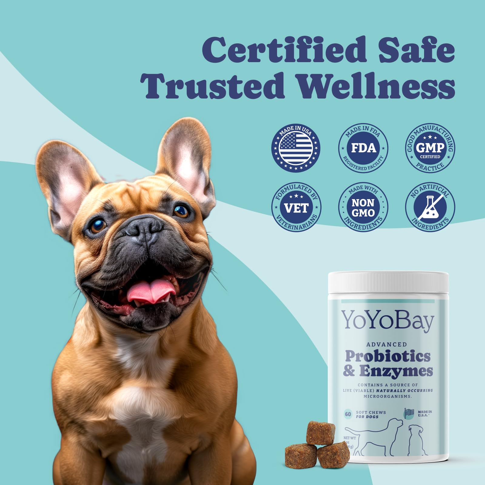 Probiotics for Dogs, Dog Probiotics and Digestive Enzymes, Pre & Probiotics Over 1 Billion CFUs, for Gut Health and Digestive Health, Yeast Balance, Itchy Skin Relief, Immune Support, 60 Soft Chews