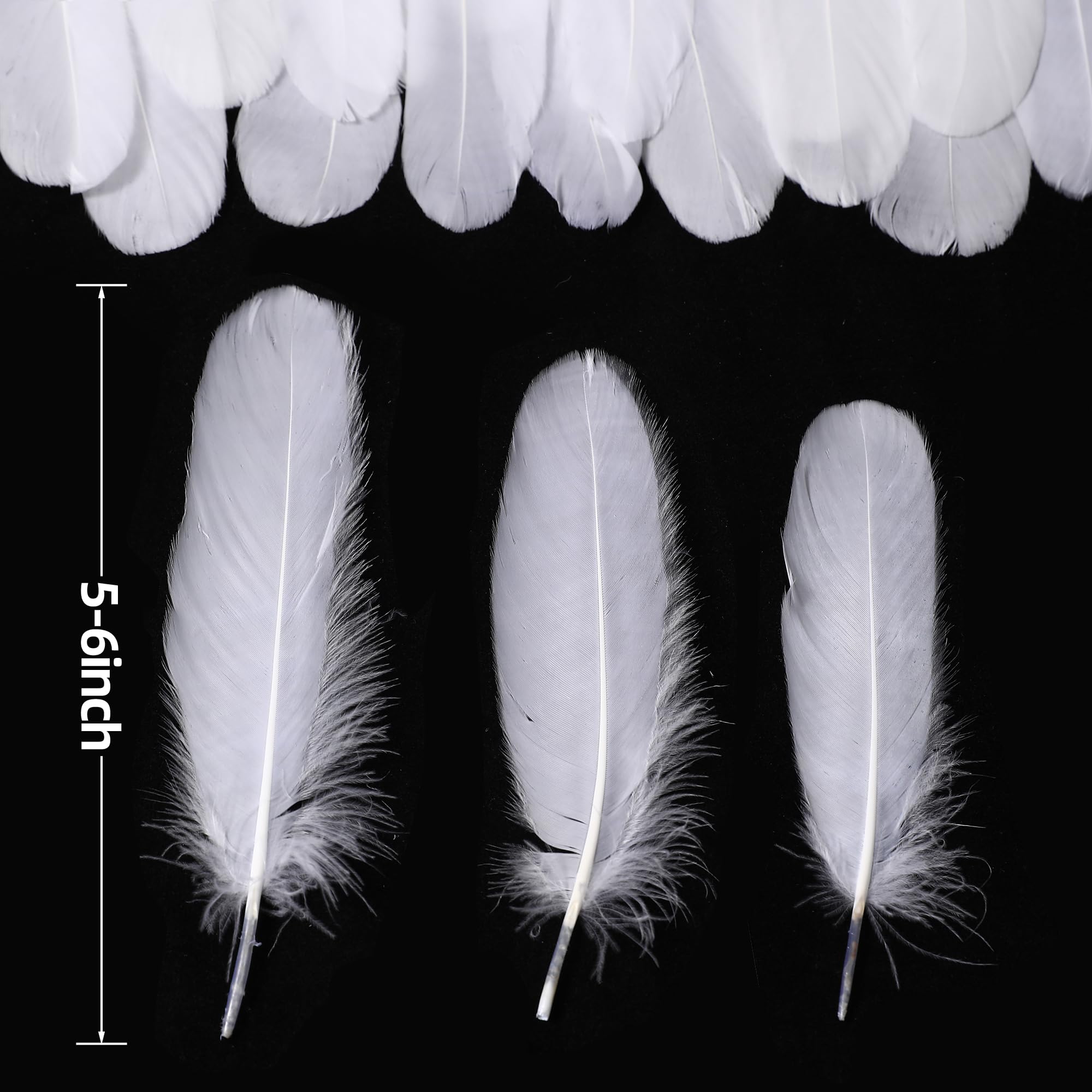 Holmgren White Craft Goose Feathers - 200pcs 5-6inch White Feathers for DIY Crafts Dream Catchers, Angel Wings and Wedding Party Christmas Home Decoration (White)