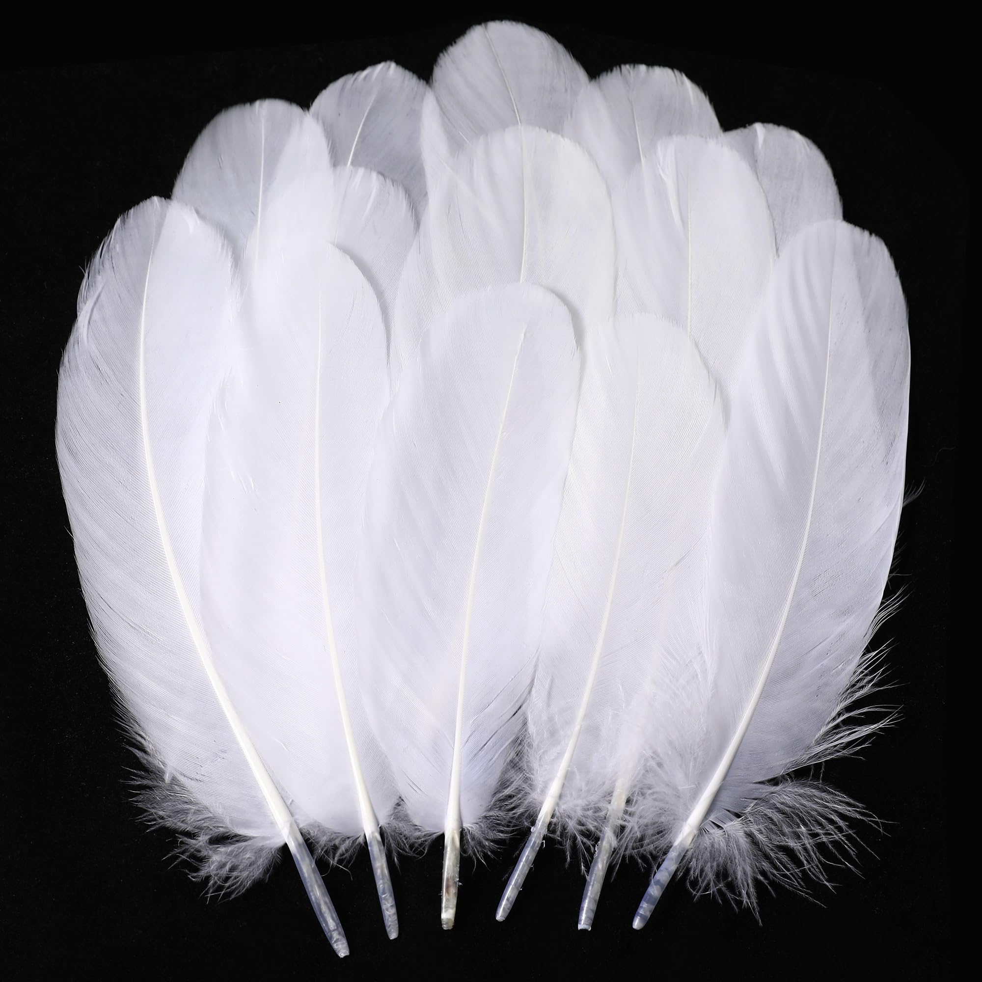 Holmgren White Craft Goose Feathers - 200pcs 5-6inch White Feathers for DIY Crafts Dream Catchers, Angel Wings and Wedding Party Christmas Home Decoration (White)