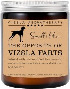 vizsla candle, vizsla funny dog gift, vizsla mom, vizsla dog candle, birthday gift, vizsla owner gift, dog lovers gift, vizsla parents day gift