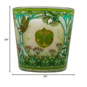 Baobab Collection Candle - Tomorrowland Edition: Lily of The Valley, Moss & Pear Fragrance - Luxurious Aromatic Decor (My First Baobab)