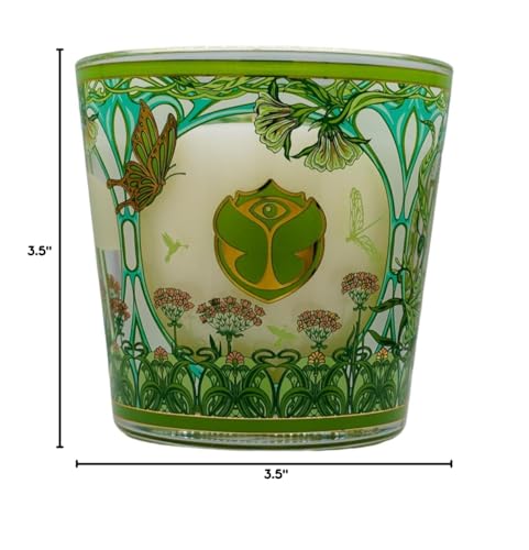 Baobab Collection Candle - Tomorrowland Edition: Lily of The Valley, Moss & Pear Fragrance - Luxurious Aromatic Decor (My First Baobab)