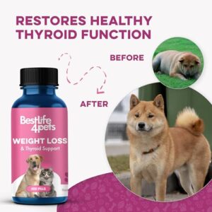 Weight & Thyroid Support for Dogs and Cats - Natural Solution for Hunger Control, Metabolism Support & Optimal Thyroid Function - Effective Dog & Cat Weight Loss - 400 Odorless, Tasteless Pills