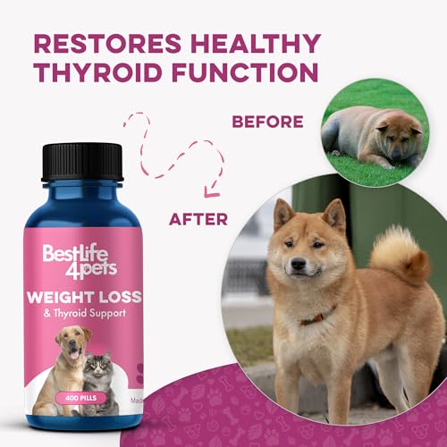 Weight & Thyroid Support for Dogs and Cats - Natural Solution for Hunger Control, Metabolism Support & Optimal Thyroid Function - Effective Dog & Cat Weight Loss - 400 Odorless, Tasteless Pills