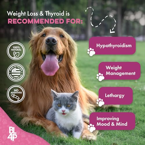 Weight & Thyroid Support for Dogs and Cats - Natural Solution for Hunger Control, Metabolism Support & Optimal Thyroid Function - Effective Dog & Cat Weight Loss - 400 Odorless, Tasteless Pills