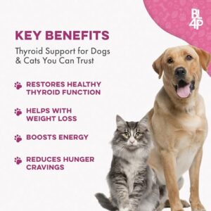 Weight & Thyroid Support for Dogs and Cats - Natural Solution for Hunger Control, Metabolism Support & Optimal Thyroid Function - Effective Dog & Cat Weight Loss - 400 Odorless, Tasteless Pills