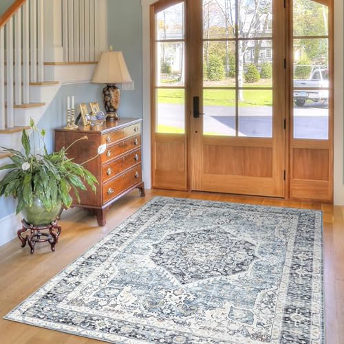 Domitapis Area Rug 5×7, Vintage Boho Rug,Ultra-Soft Low Pile, Washable, Non Slip,Stain Resistant Printed Carpet for Living Room Bedrooms Playroom Office Kitchen, Light Blue