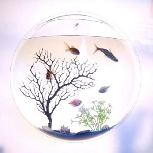 TAPIVA Aquariums Pet Products Wall Mount Fish Tank Fish Bowl Wall Hanging Aquarium Tank Aquatic Pet Supplies