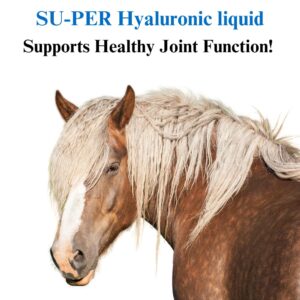 SU-PER Hyaluronic Joint Supplement for Horses - Supports Joints Health & Lubrication - Horse Hyaluronic Acid Liquid - 1 Quart, (2 Pack)