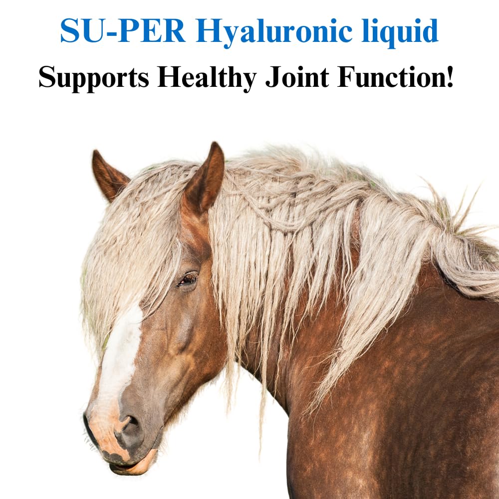 SU-PER Hyaluronic Joint Supplement for Horses - Supports Joints Health & Lubrication - Horse Hyaluronic Acid Liquid - 1 Gallon, 4 Month Supply