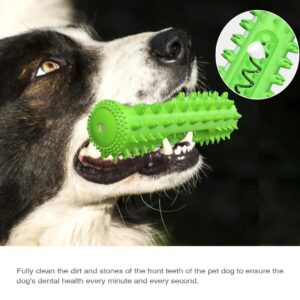 Nico's Friends Interactive Dental Toy for Dogs – Squeaky Puzzle to Clean Teeth and Promote Oral Health – Perfect for Small, Medium, and Large Breeds.