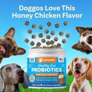 Dog Probiotics, Honey Chicken Flavor, 120 Soft Chews for Digestive & Gut Health, Immune Support Supplement, Gas Relief, Anti-Diarrhea, Helps with Allergies, Upset Stomachs, Yeast and Itchy Skin