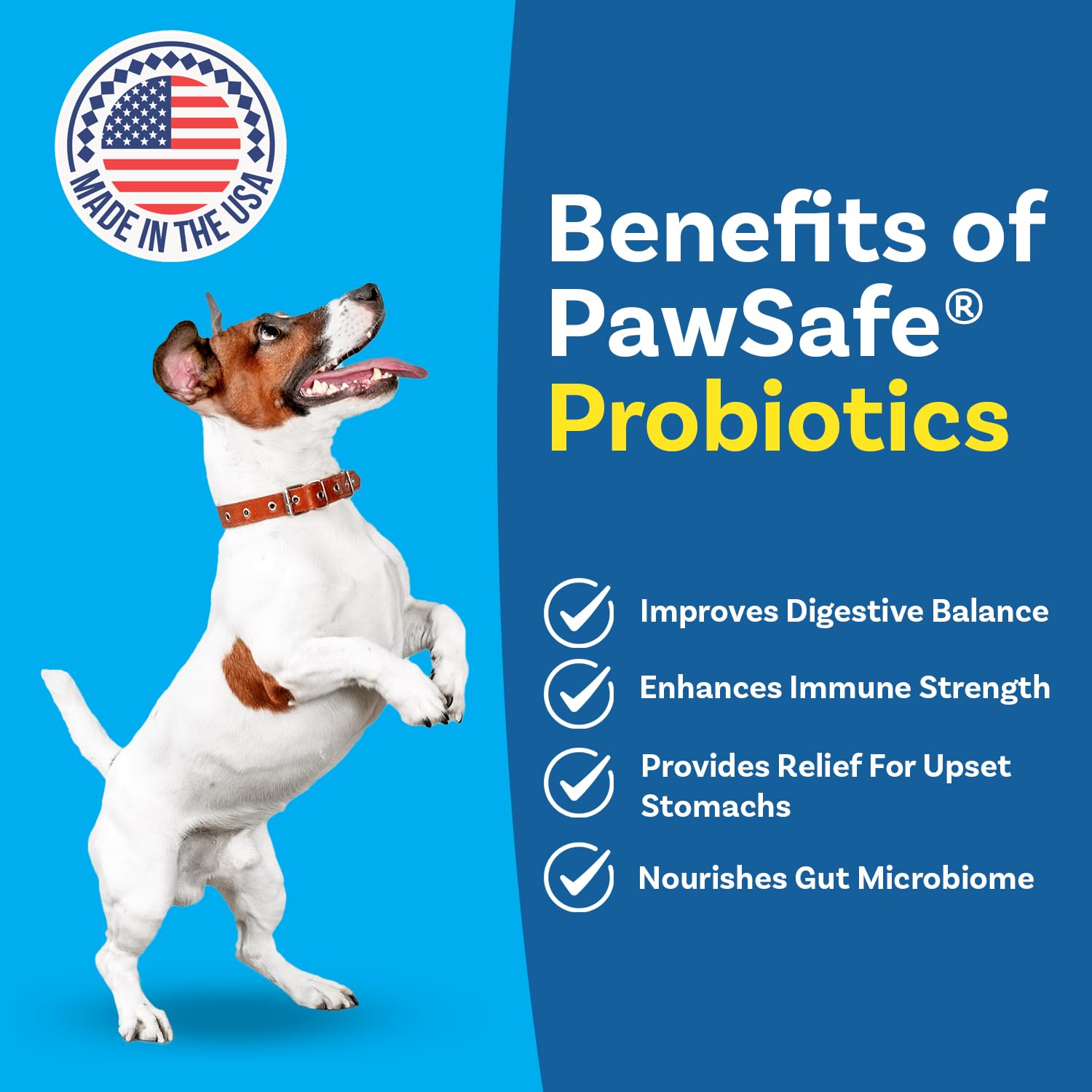 Dog Probiotics, Honey Chicken Flavor, 120 Soft Chews for Digestive & Gut Health, Immune Support Supplement, Gas Relief, Anti-Diarrhea, Helps with Allergies, Upset Stomachs, Yeast and Itchy Skin