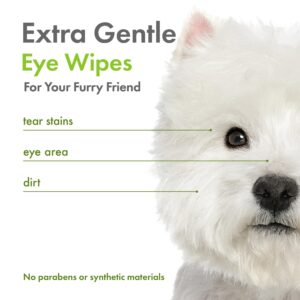 Petkin Plant-Based EyeWipes, 80 Wipes, 2 Pack - Biobased & Sustainable Pet Eye Wipes for Dogs & Cats - Cleans Eye Area, Dirt & Tear Stains - Consciously Cleans & Conditions - Easy to Use - Unscented