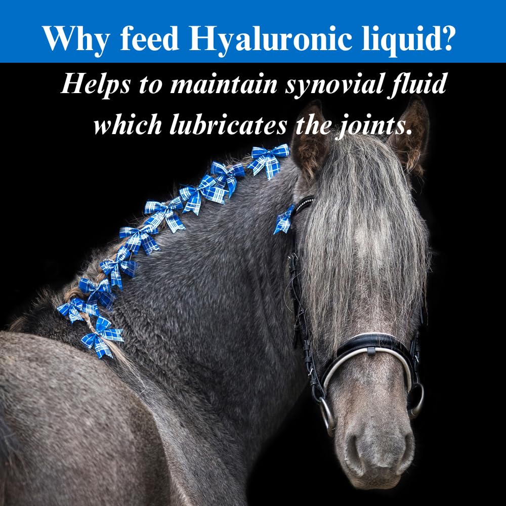 SU-PER Hyaluronic Joint Supplement for Horses - Supports Joints Health & Lubrication - Horse Hyaluronic Acid Liquid - 1 Gallon, 4 Month Supply