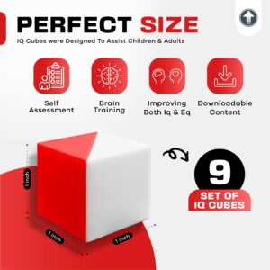 PrfcNL IQ Test Cubes (Red and White) – 9 Kohs Cubes, Practice for Block Design Test, WPPSI, WAIS IV and WISC V Tests, Montessori Educational Blocks to Improve Concentration, Coordination and Memory