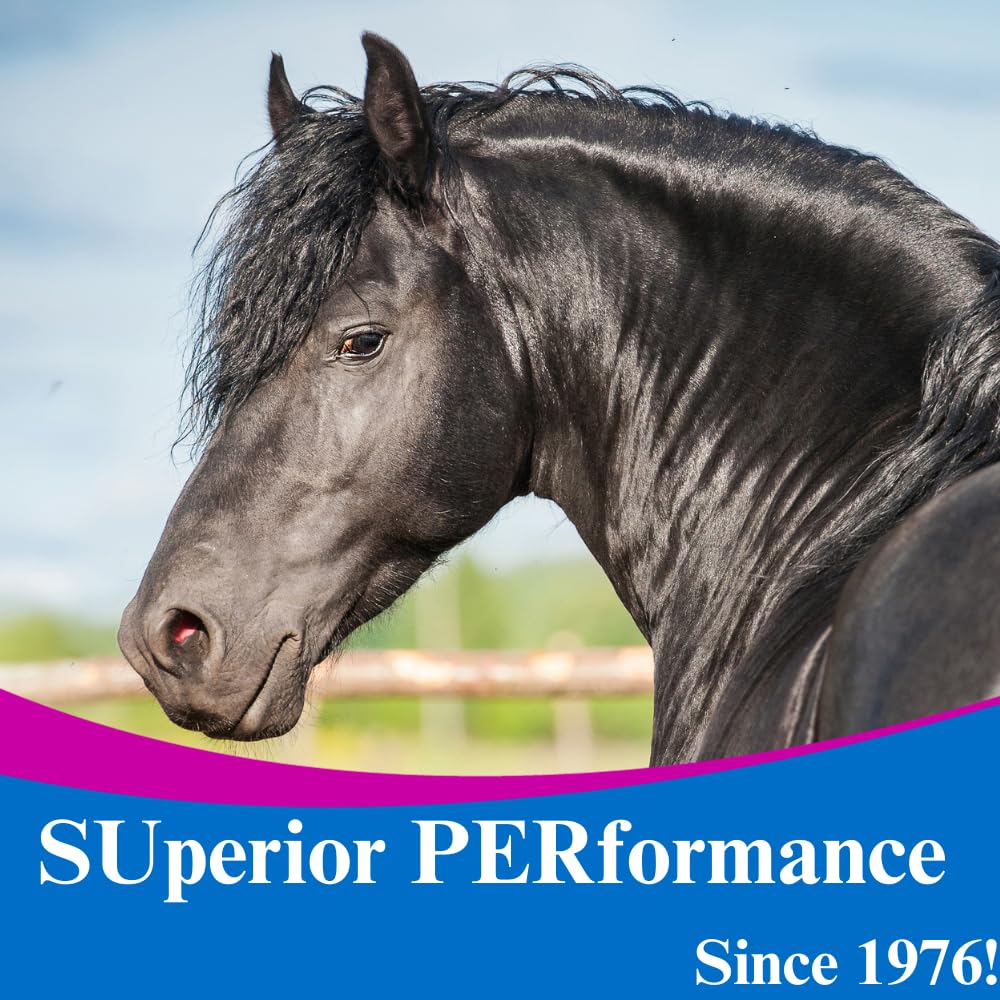 SU-PER Hyaluronic Joint Supplement for Horses - Supports Joints Health & Lubrication - Horse Hyaluronic Acid Liquid - 1 Gallon, 4 Month Supply