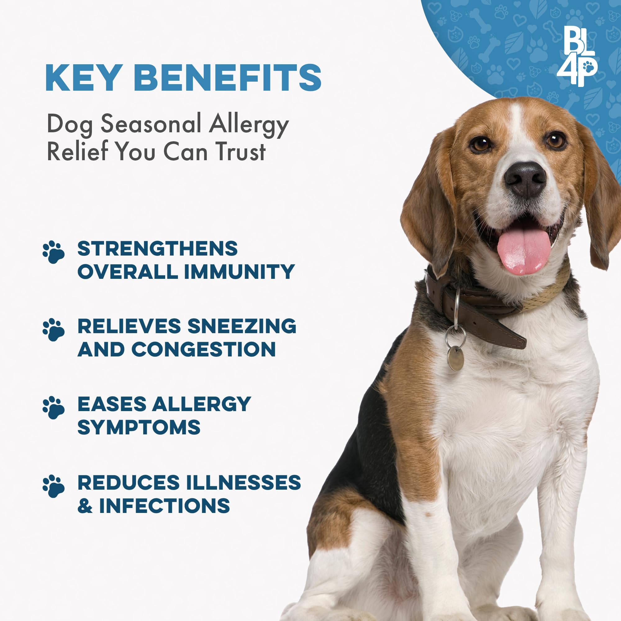 Dog Allergy Relief & Immune Support - Natural Holistic Itch Relief for Dogs, Immune System Guard and Allergy Support, Including Seasonal Allergies, Sneezing, Runny Nose and Itching - 400 Small Pills