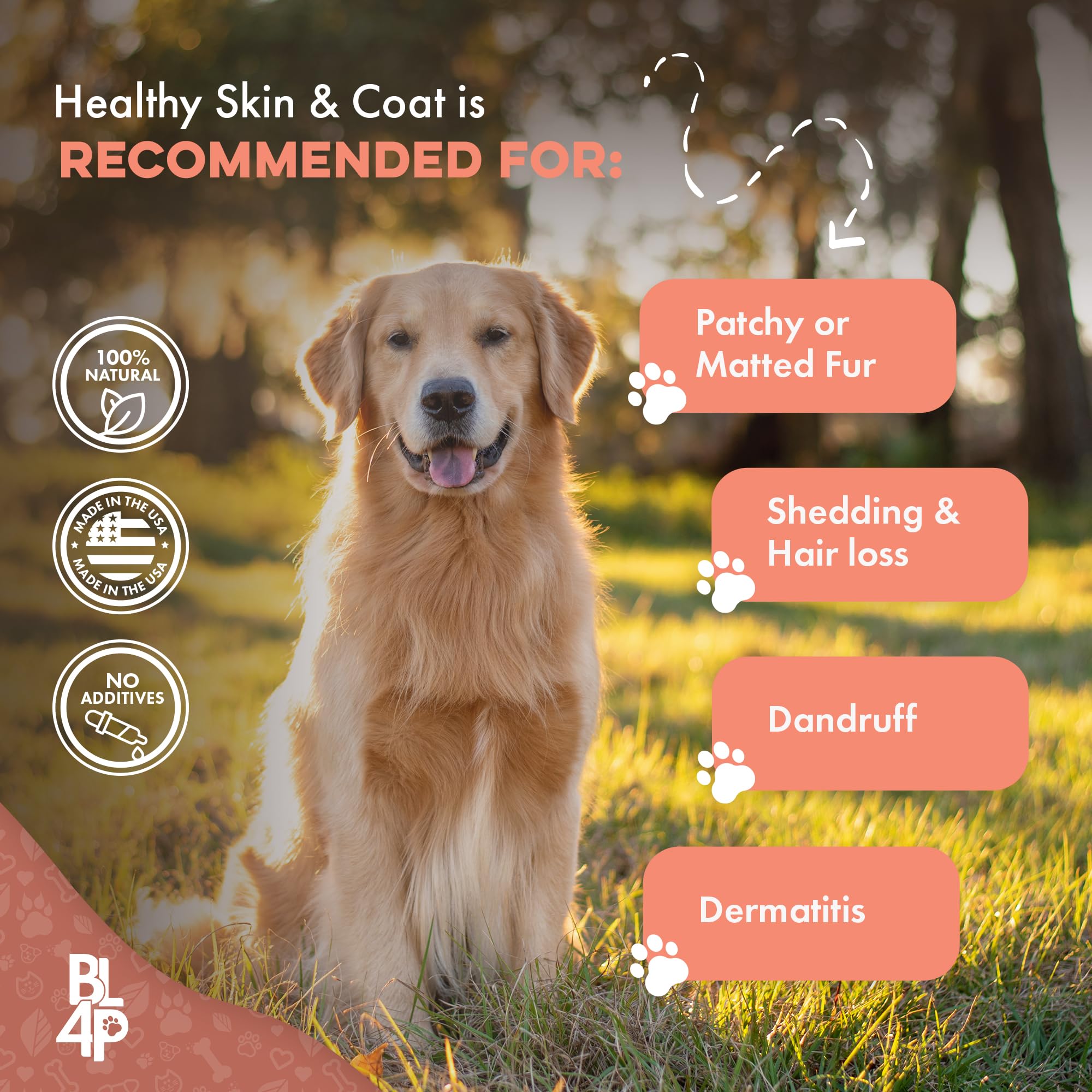 Natural Skin & Coat Supplement for Dogs, Large and Small - Dog Anti Itch Relief for Dry Skin, Rash, Allergy or Irritation - Reduces Shedding, Dandruff and Supports Dog Hair Growth - 400 Small Pills