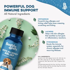 Dog Allergy Relief & Immune Support - Natural Holistic Itch Relief for Dogs, Immune System Guard and Allergy Support, Including Seasonal Allergies, Sneezing, Runny Nose and Itching - 400 Small Pills