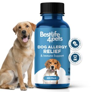 dog allergy relief & immune support - natural holistic itch relief for dogs, immune system guard and allergy support, including seasonal allergies, sneezing, runny nose and itching - 400 small pills