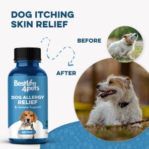 Dog Allergy Relief & Immune Support - Natural Holistic Itch Relief for Dogs, Immune System Guard and Allergy Support, Including Seasonal Allergies, Sneezing, Runny Nose and Itching - 400 Small Pills