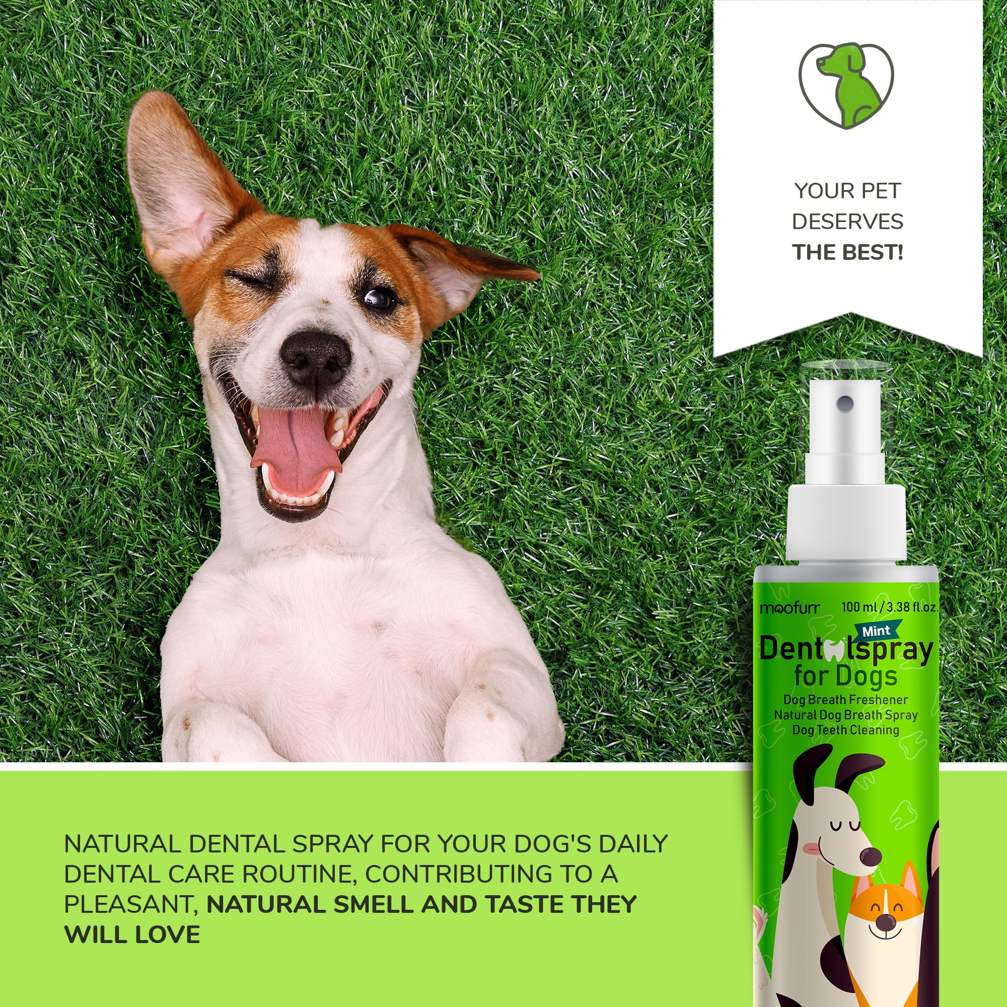 Moofurr Natural Fresh Breath Dental Spray 3.38 fl.oz - Dog Breath Spray I Mint Dog Breath Freshener I Dog Teeth Cleaning