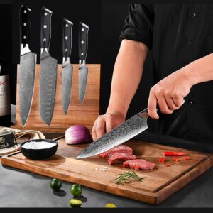 COOSNUG Damascus 4Pcs Kitchen Knife Set, Japanese VG-10 Stainless Steel 67 Layers Damascus Knife, Japanese 8" Chef knife, 7" Santoku knife, 5" Utility knife and 3.5" Paring knife Sharp Cooking Knife