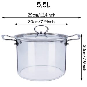 Hgjgwqh Glass Saucepan with Cover Stovetop Cooking Pot with Cover and Stainless Steel Handle Dual Handles Pot for Home Kitchen Restaurant Glass Cookware Stove and Dishwasher Safe,5.5L