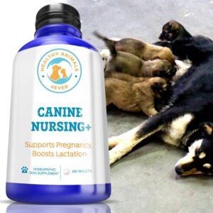 healthy animals 4ever supports pregnancy, boosts lactation may prevent potential pregnancy & nursing issues safe, caring, natural support solution fast acting formula guarantee