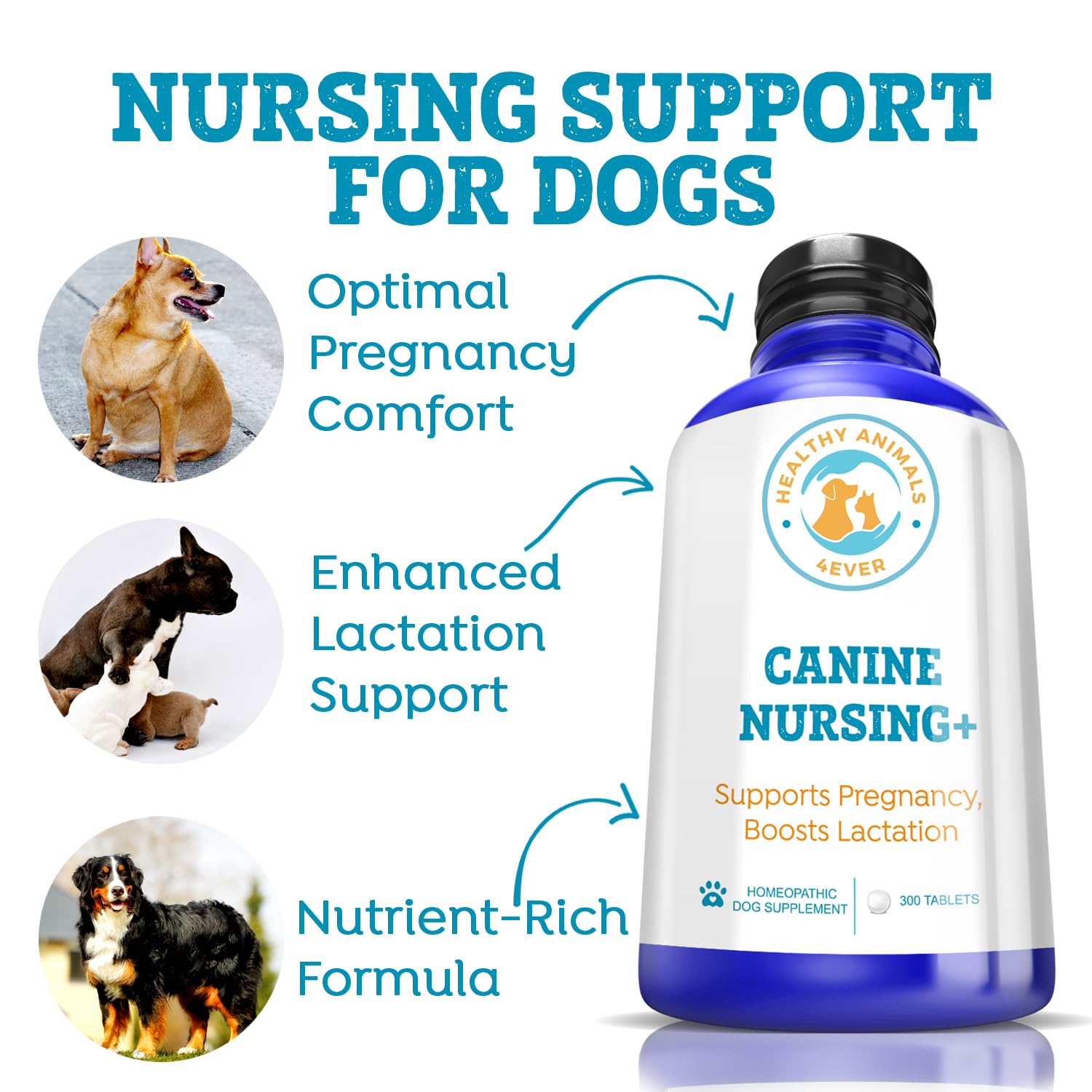 Healthy Animals 4Ever Supports Pregnancy, Boosts Lactation May Prevent Potential Pregnancy & Nursing Issues Safe, Caring, Natural Support Solution Fast Acting Formula Guarantee