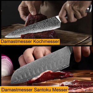 COOSNUG Damascus 4Pcs Kitchen Knife Set, Japanese VG-10 Stainless Steel 67 Layers Damascus Knife, Japanese 8" Chef knife, 7" Santoku knife, 5" Utility knife and 3.5" Paring knife Sharp Cooking Knife