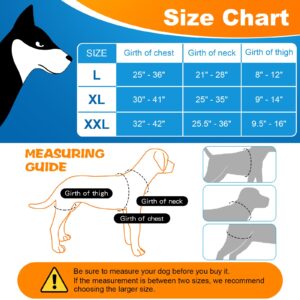 CHAMIN/RISURRY Dog Hip Brace Support for Hip Dysplasia, Arthritis, Back Leg limping, Rear Leg Brace with Back Handheld Design to Reduce Hip Pain et(Large)