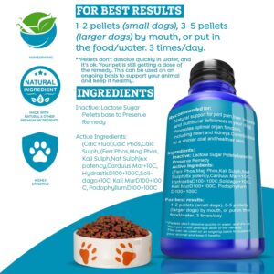 Healthy Animals 4Ever Nutritional Boost & Hip Agility for Gut, Coat, Skin Radiance | Extra Strong Ingredients | Fast Acting Formula | Completely Safe & Natural | 300 Tablets