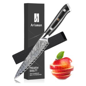 Arisman 5 Inch Utility Knife, Japanese Damascus Steel Paring Knife, Sharp VG10 Fruit Slicing Knife, Small Kitchen Knife with Full Tang Ergonomic G10 Handle