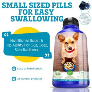 Healthy Animals 4Ever Nutritional Boost & Hip Agility for Gut, Coat, Skin Radiance | Extra Strong Ingredients | Fast Acting Formula | Completely Safe & Natural | 300 Tablets