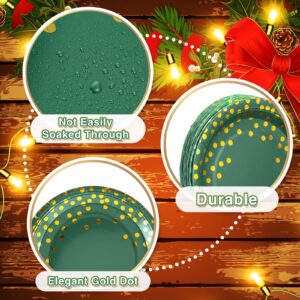 Tegeme 256 Pcs Dark Green and Gold Party Supplies Christmas Paper Plates Napkins Cups Gold Dot Disposable Tablecloths Plastic Forks Knives Spoon Serve 36 Guest for Birthday Graduation Party Decoration