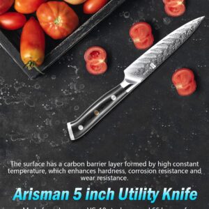 Arisman 5 Inch Utility Knife, Japanese Damascus Steel Paring Knife, Sharp VG10 Fruit Slicing Knife, Small Kitchen Knife with Full Tang Ergonomic G10 Handle