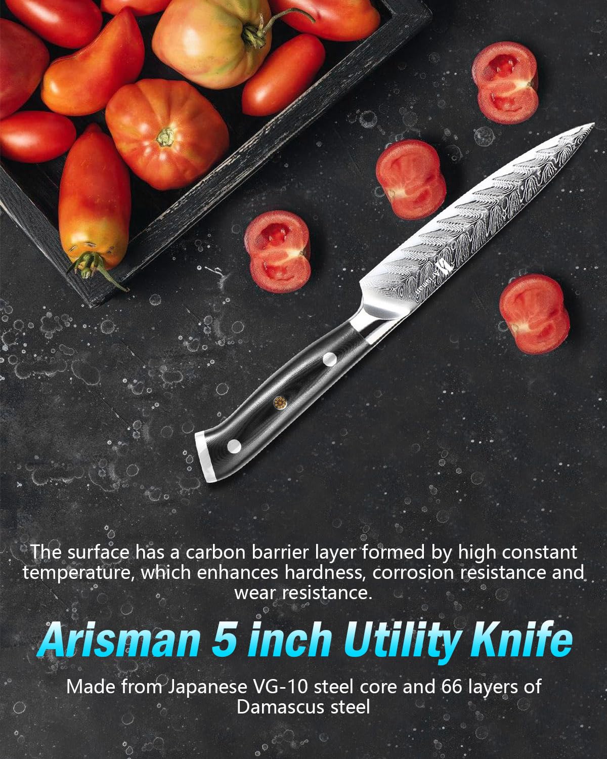 Arisman 5 Inch Utility Knife, Japanese Damascus Steel Paring Knife, Sharp VG10 Fruit Slicing Knife, Small Kitchen Knife with Full Tang Ergonomic G10 Handle