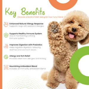 Chews Pawsitive Allergy + Immune Chews for Dogs - Dog Supplements for Itchy Skin and Seasonal Allergy Relief- Natural Dog Immune Support- Digestive Health Probiotics - 120ct