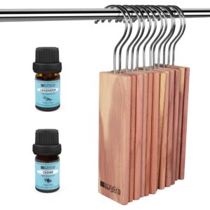 va elevate cedar blocks clothes storage set - 12 hangers for closet protection | natural, long-lasting cedar planks with essential oils