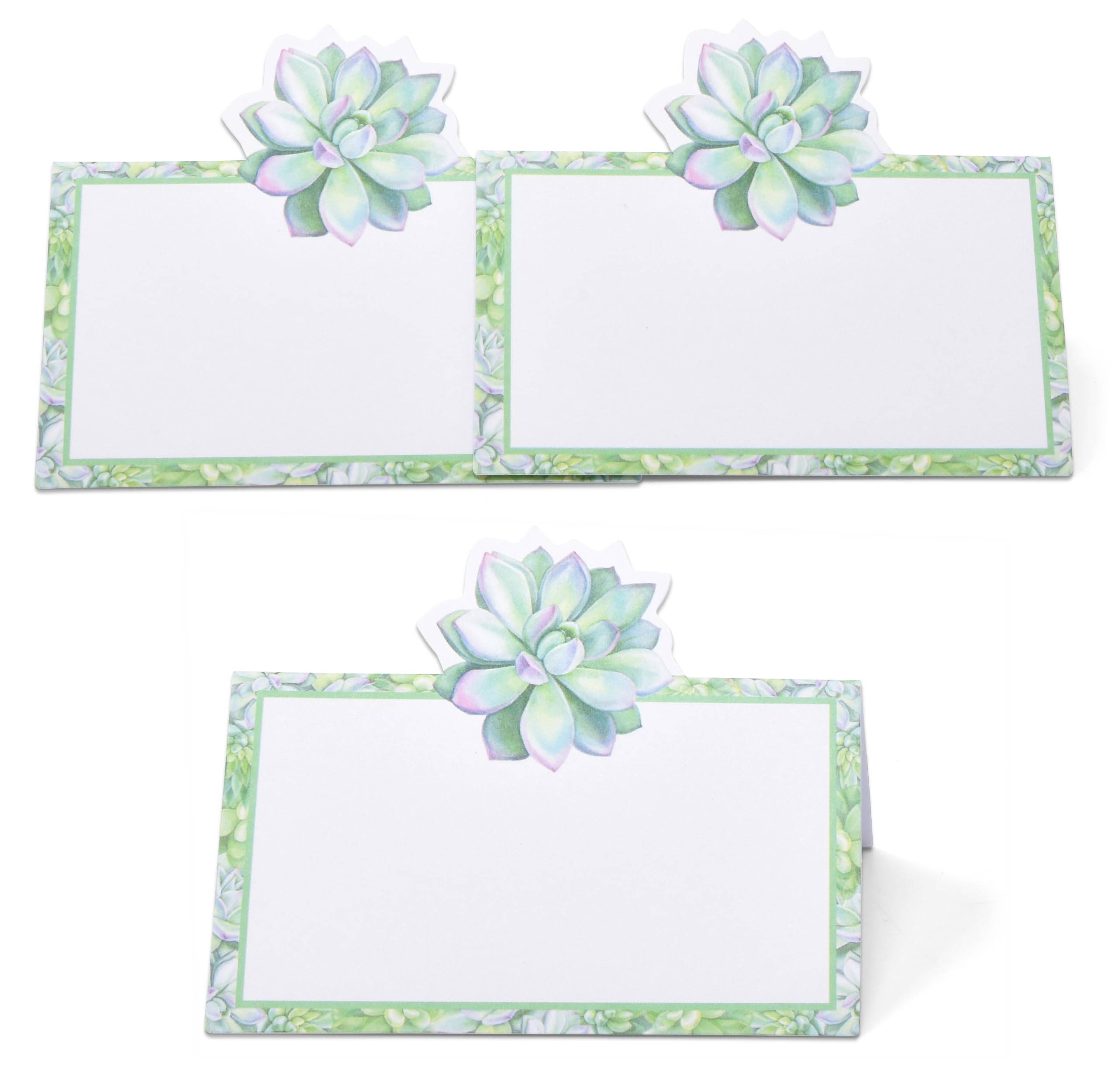 100 Succulent Place Cards Cactus Floral Green Leaves Succulents Name Card Wedding Table Setting Folded Tent Cards for Baby Shower Dinner 2" x 3.5"