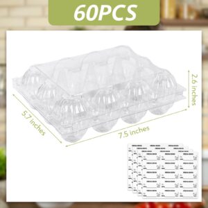 LOVEINUSA 60PCS Clear Egg Cartons, Egg Cartons Cheap Bulk Plastic Egg Holders for Home Ranch Chicken Farm Market Display 12-cavity