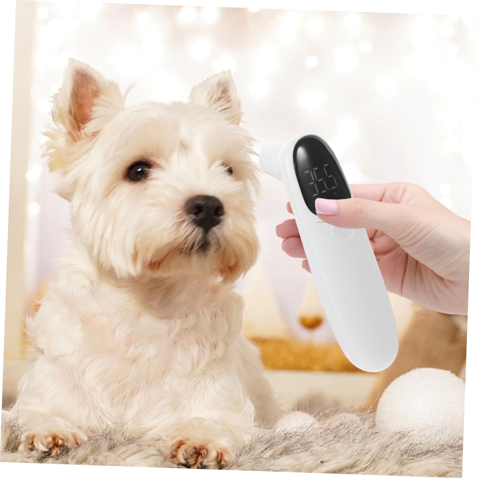 NOLITOY 1 Set Pet Small for Pets Animal Electronic Cat Temperature Detector Non- Pet Special Digital Dogs Cats Number Cats and Dogs Plastic Baby