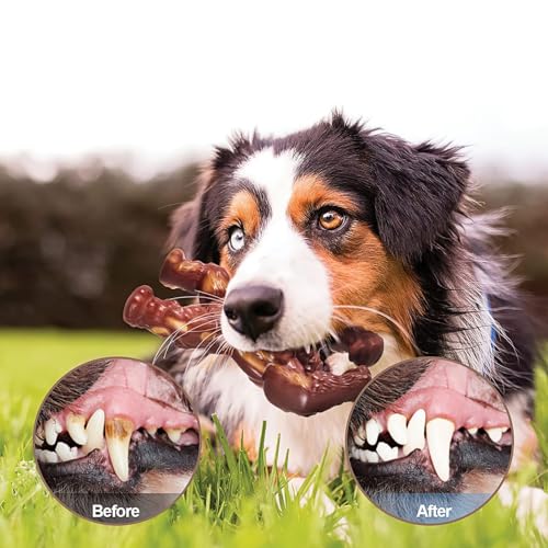 Grebest Teeth Cleaning Dog Toy Dental Dog Toy Dog Toy Realistic Gorilla Shape Chew Toy for Dogs Durable Nylon Bite-Resistant Teeth Grinding Pet Supplies Red