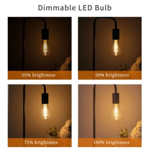 Austin Coast 12 PCS Dimmable Vintage LED Edison Bulbs, 6W Equivalent 60 Watt, Warm White 2700K, Antique Flexible Spiral LED Filament Light Bulb, ST58 (ST19), 600 Lumens, E26 Base, Clear Plastic