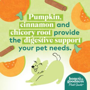 Honest to Goodness Plant Snacks Mellow Belly Pumpkin & Cinnamon Recipe Dog Treats, Enriched with Omega 3s & Postbiotics, 8oz