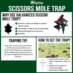 Garsum EasySet Mole Trap, Black Scissor Trap for Lawns, Reusable Quick and Clean Kill Vole Trap, 1 Set