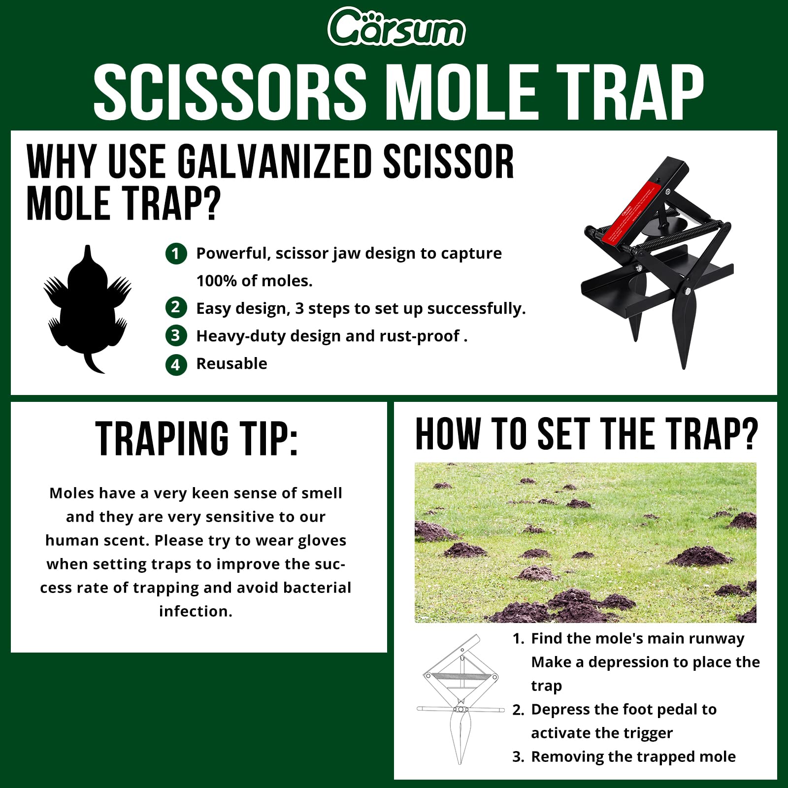 Garsum EasySet Mole Trap, Black Scissor Trap for Lawns, Reusable Quick and Clean Kill Vole Trap, 1 Set